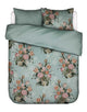 Surf green