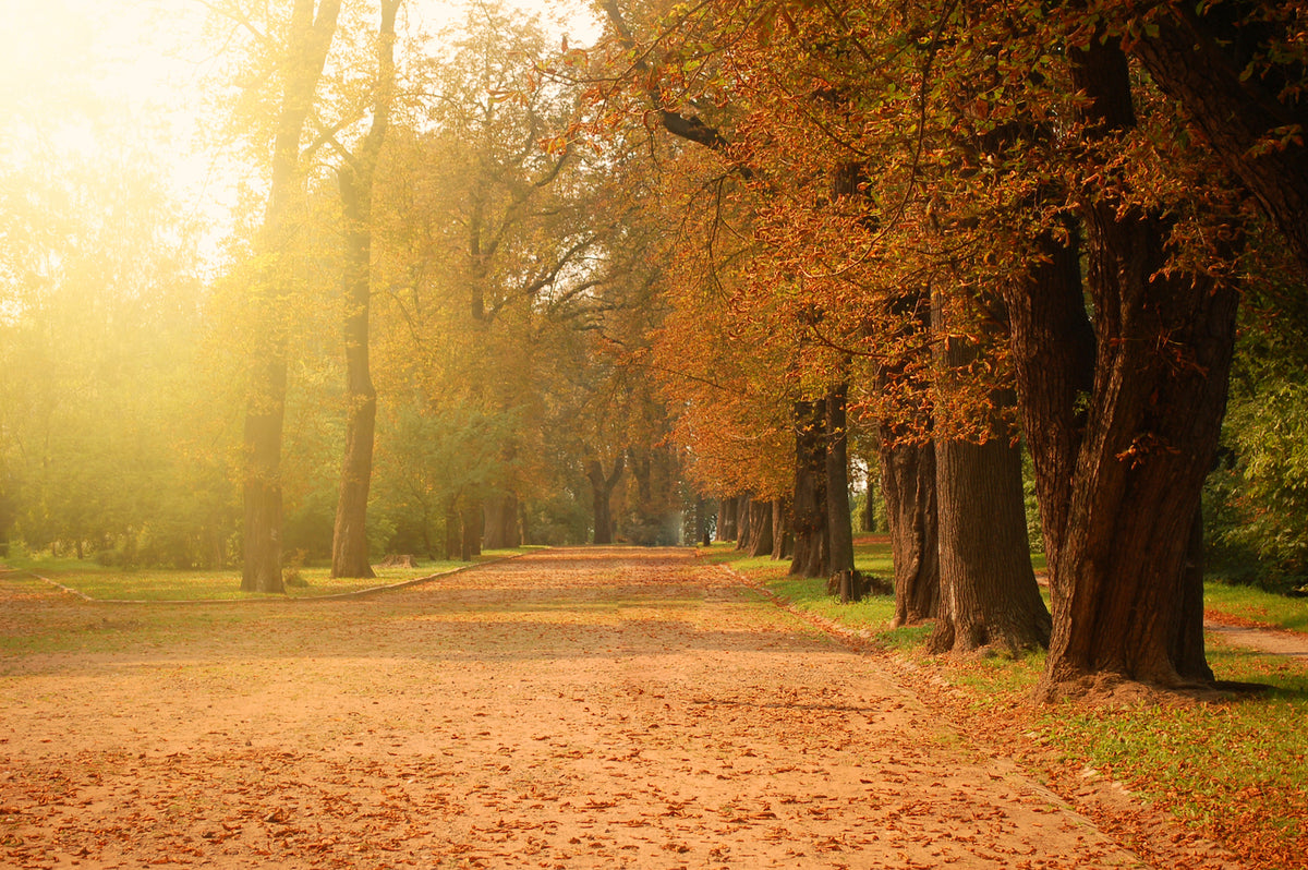 Herfstdekbed-overtrek-in-herfstkleuren-bij-Textiel24