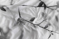 Heckett & Lane Dekbedovertrek Berta Dove-Grey