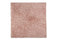 Zo!Home Badmat Miscela - 60x100 cm - Shell-Nude