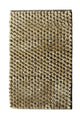 Real-Taupe