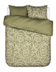 Cedar green