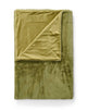 Cedar green