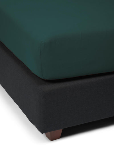 Essenza Hoeslaken The Perfect Organic Jersey Pine green